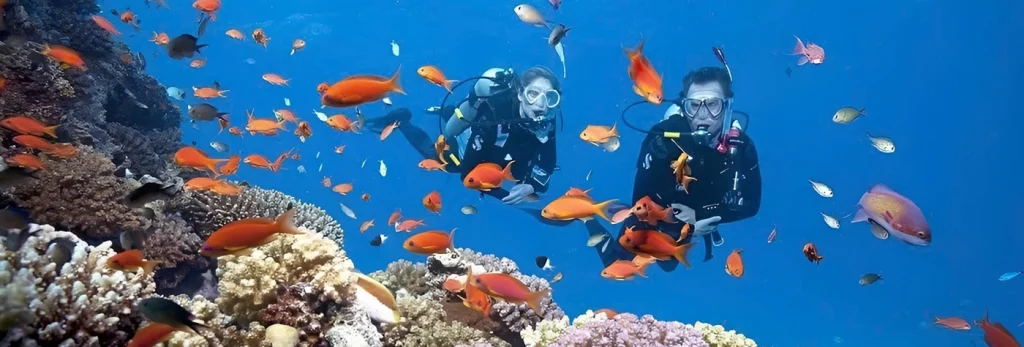 Scuba Diving in Cham Island